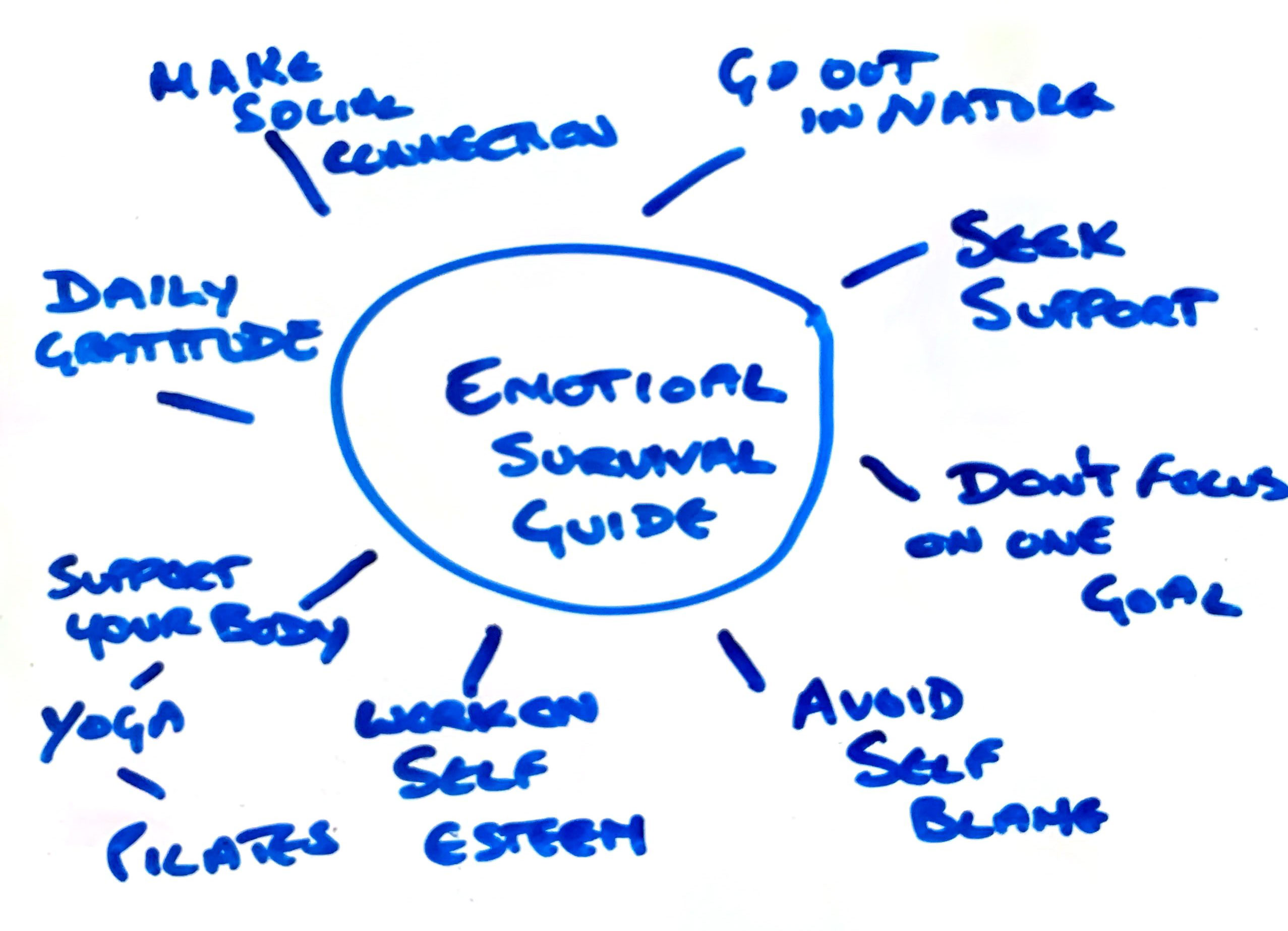 Zetta Thomelin - Author & Therapist - Emotional Survival Guide